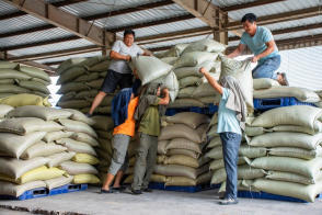 高效搬運服務 人工裝卸、設備搬運與工廠搬遷一體化解決方案